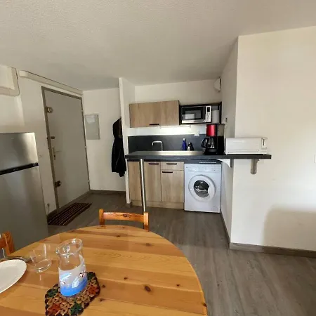 Apartment Climatise 4 Pers, Proche Plage, Loggia, Parking Securise, St-cyprien - Fr-1-225d-157 *
