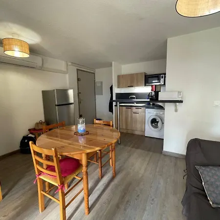 Climatise 4 Pers, Proche Plage, Loggia, Parking Securise, St-cyprien - Fr-1-225d-157 Apartment *