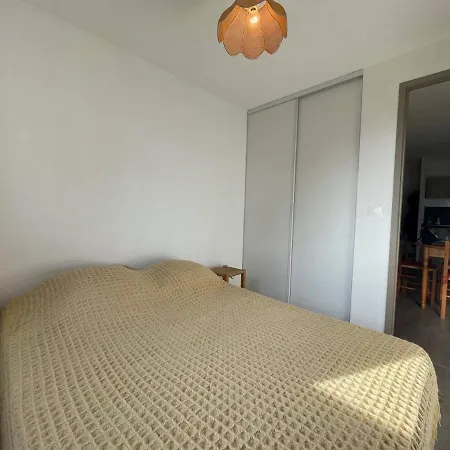 Apartment Climatise 4 Pers, Proche Plage, Loggia, Parking Securise, St-cyprien - Fr-1-225d-157