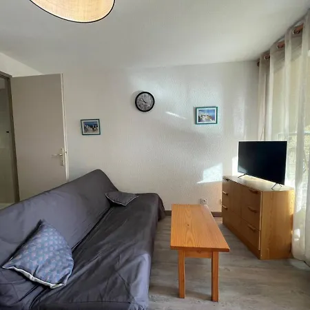 Apartment Climatise 4 Pers, Proche Plage, Loggia, Parking Securise, St-cyprien - Fr-1-225d-157 *
